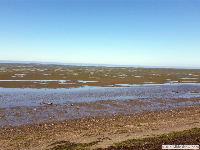 Bay Center WA 16
