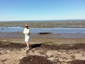 Bay Center WA 12