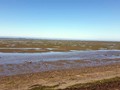 Bay Center WA 16