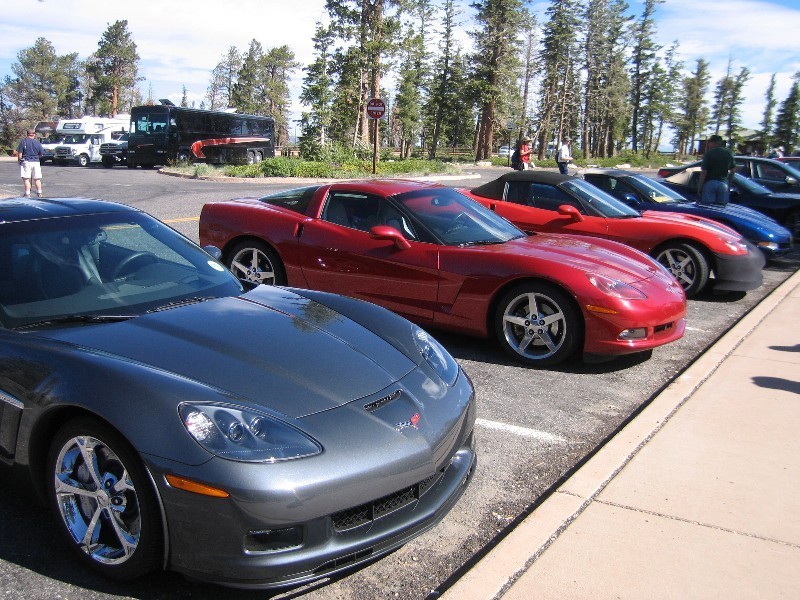 Corvette Club touring the Park
