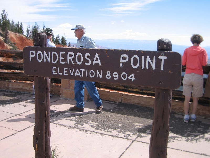 Ponderosa Point