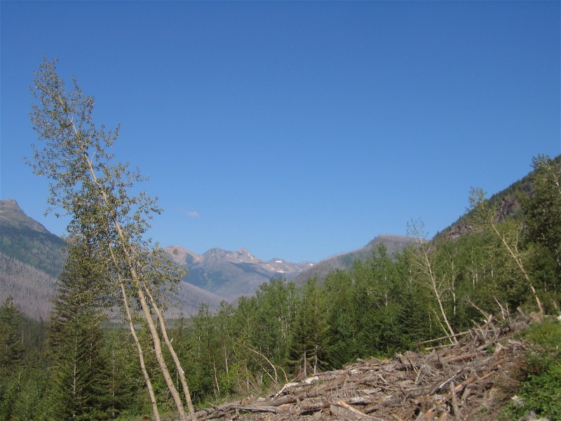 The effects of an avalanche flow from an avalancehe plume