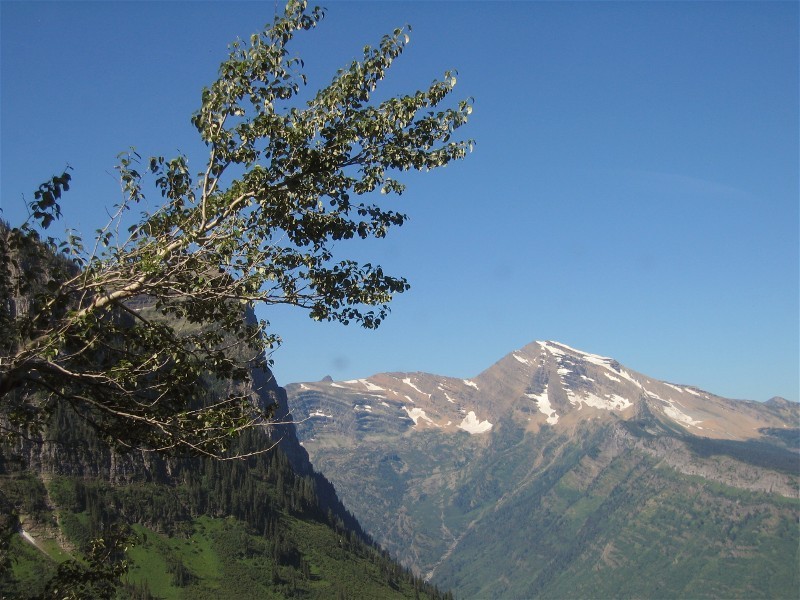 Glacier NP 41