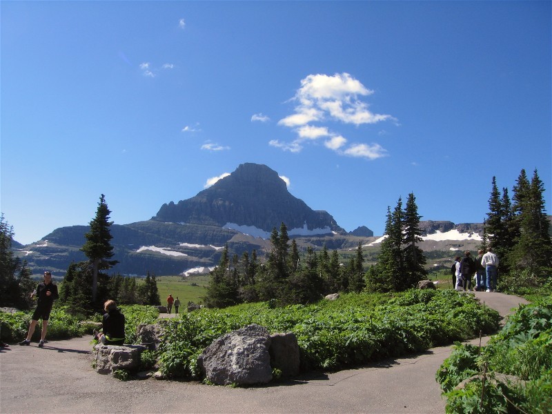 Glacier NP 46