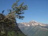 Glacier NP 41