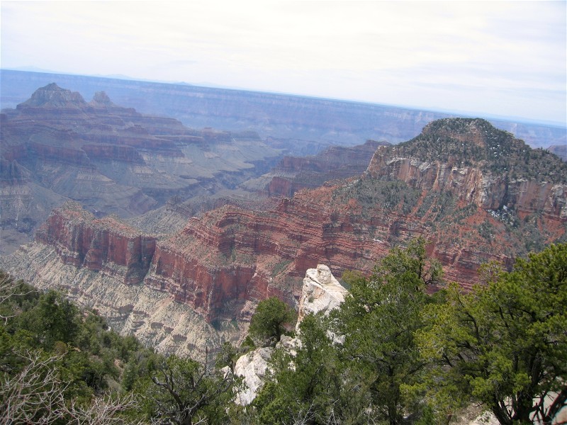 Along the Bright Angel Trail
