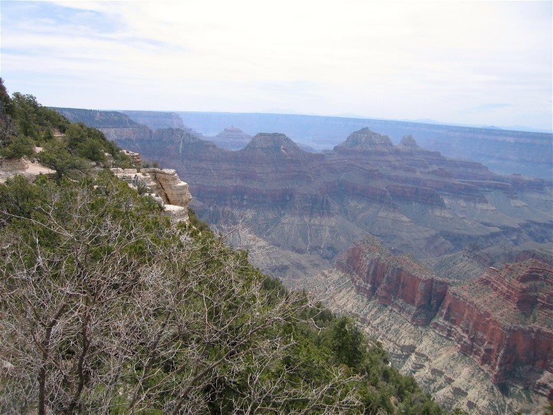 Along the Bright Angel Trail