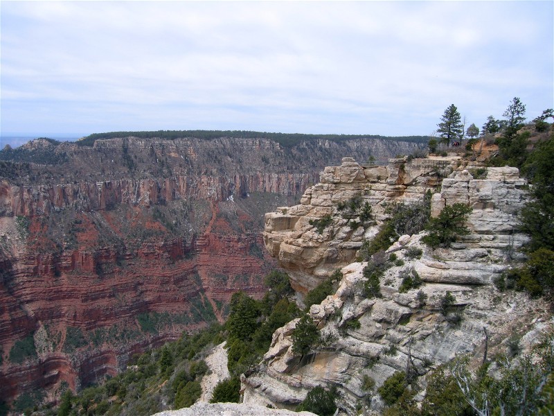 Along the Bright Angel Trail