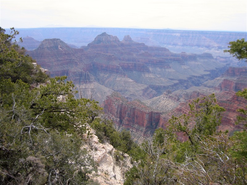 Along the Bright Angel Trail