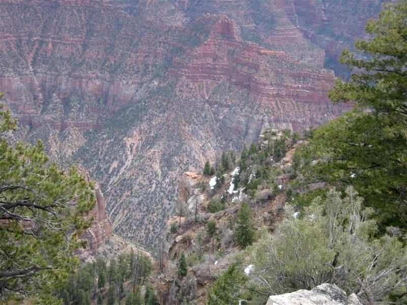 Along the Bright Angel Trail