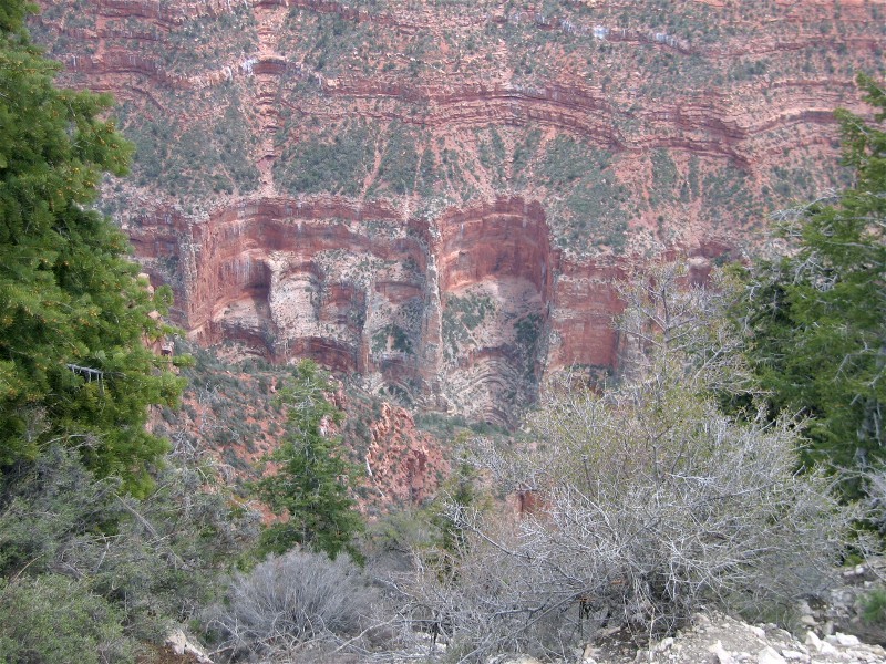 Along the Bright Angel Trail
