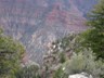 Along the Bright Angel Trail