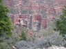 Along the Bright Angel Trail