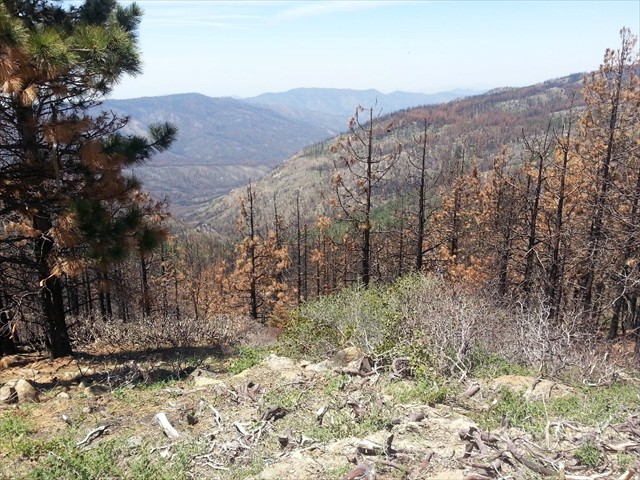 Kings Canyon NP Canyon  03