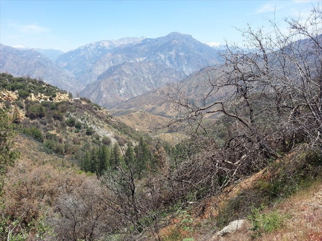 Kings Canyon NP Canyon  05
