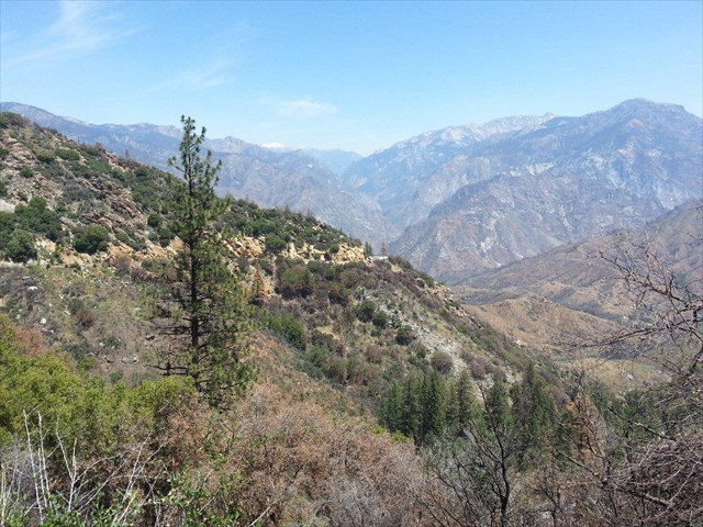 Kings Canyon NP Canyon  06