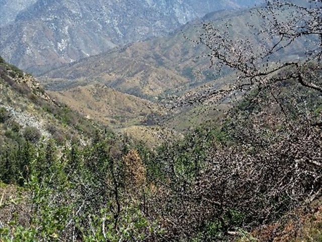 Kings Canyon NP Canyon  07