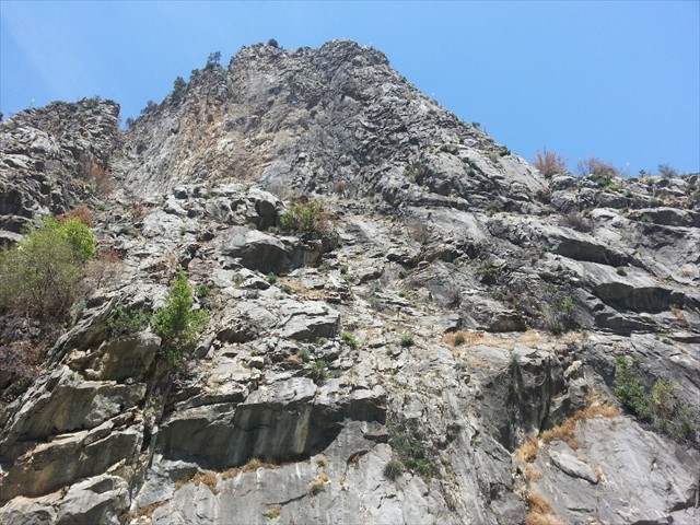 Kings Canyon NP Canyon  18