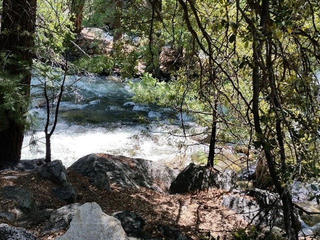 Kings Canyon NP Canyon  26