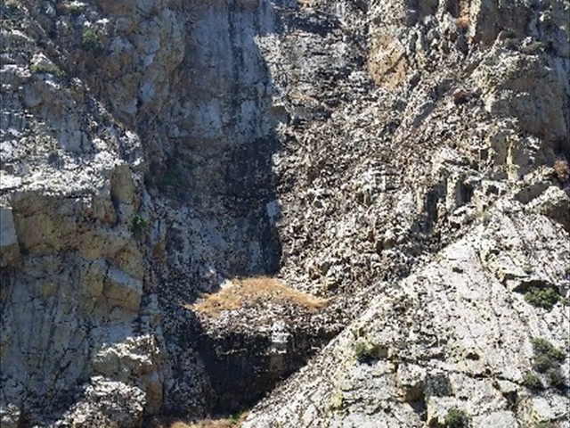 Kings Canyon NP Canyon  28