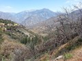 Kings Canyon NP Canyon  05
