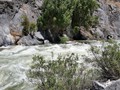Kings Canyon NP Canyon  19