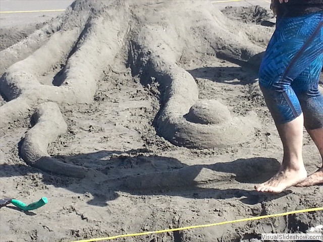 Long Beach WA 36