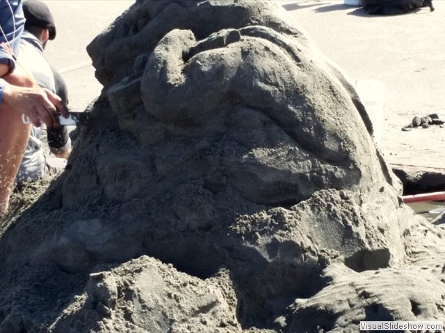 Long Beach WA 42