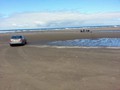 Long Beach WA 12