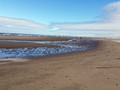 Long Beach WA 13