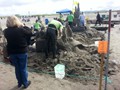 Long Beach WA 21