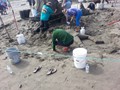 Long Beach WA 26