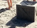 Long Beach WA 34