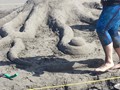 Long Beach WA 36