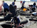 Long Beach WA 49