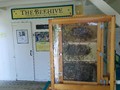 Old Sturbridge Village 16