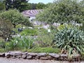 Old Sturbridge Village 17
