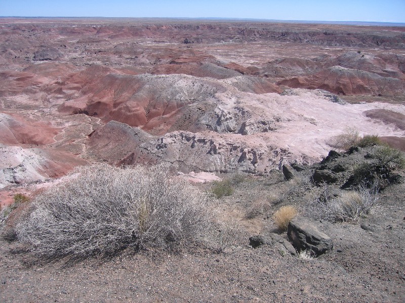 The Painted Desert