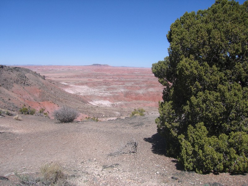 The Painted Desert