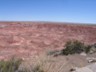 The Painted Desert