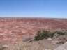 The Painted Desert