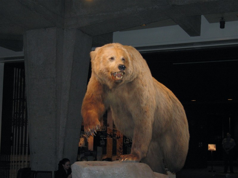 There is a Museun of Exploration  of the West located in the base of the Arch