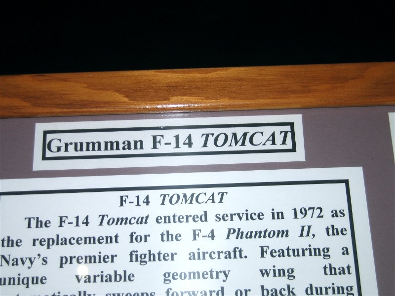 Grummaan F-14 Tomcat