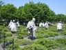Korean War Memorial 