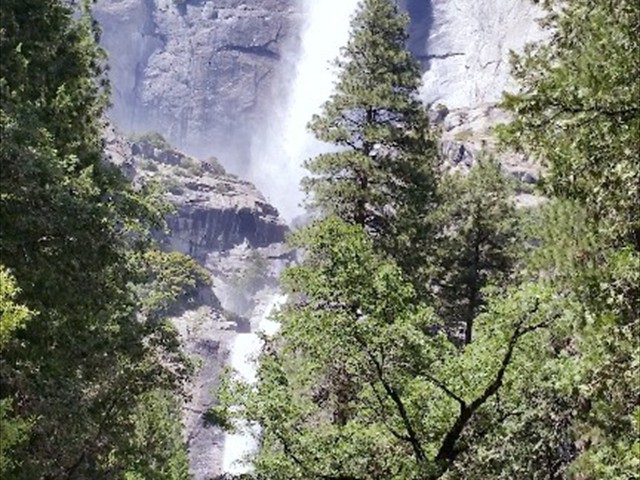 Yosemite Valley 42