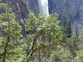 Yosemite Valley 25