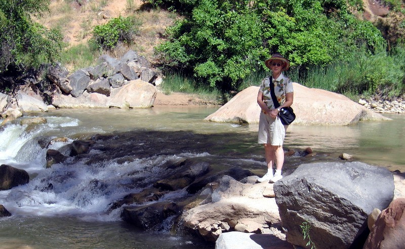 Along the Virgin River in the Park 