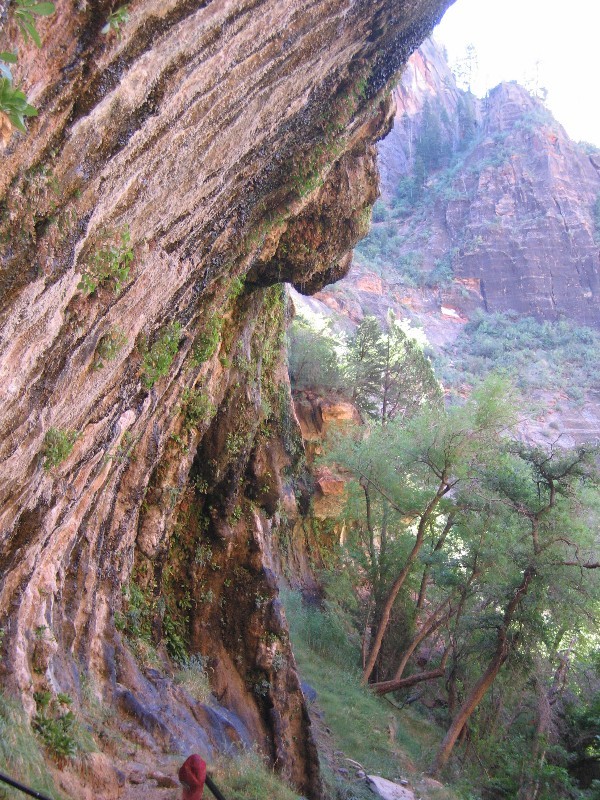 Weeping Rock