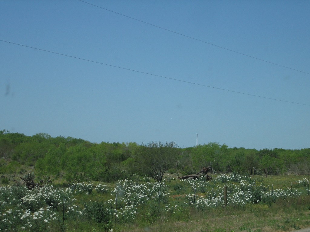 Carrizo springs texas singles FM , Carrizo Springs, Texas
