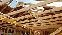 Retama Lot Build